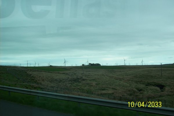 sea of windmills