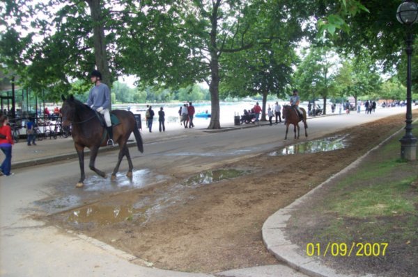 Horse track and lake
