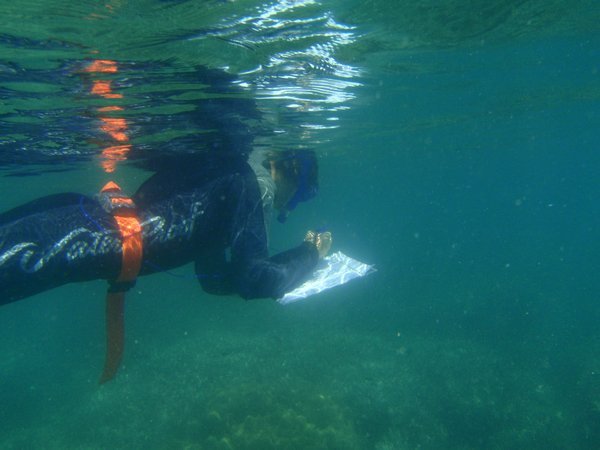 Me surveying a reef