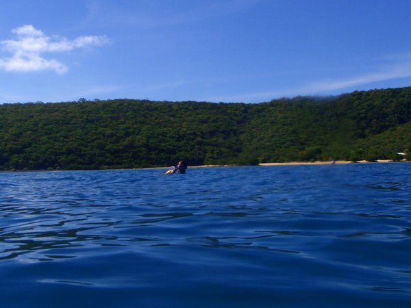 Orpheus island from the water
