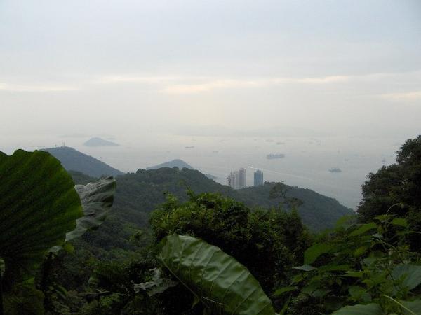 Looking Across Hong Kong Island, Opposite Kowloon, From Victoria Peak