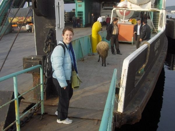 Amy Boards the Ferry Behind a Sheep