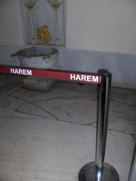 Harem Members Only