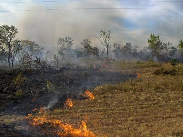 Brushfire At Kakadu