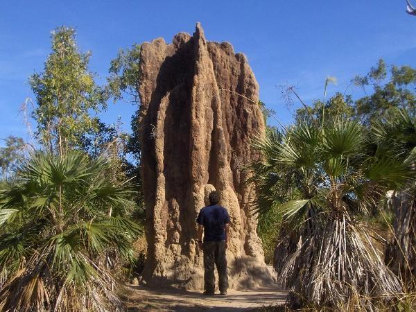 A Cathedral Termite Mound And Roger