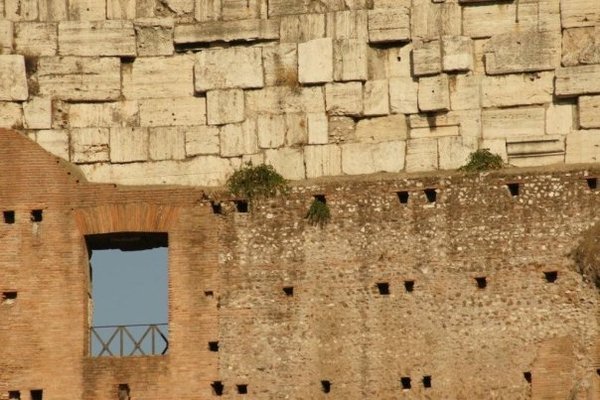 Colosseum wall