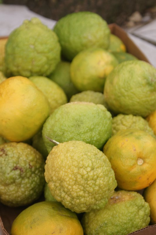 Fresh fruit - Antigua