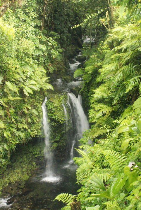 Jaco Falls Dominica