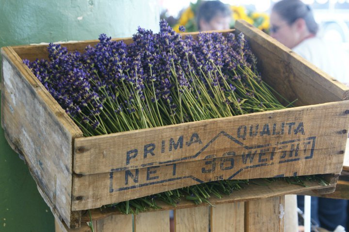 lavender at the market
