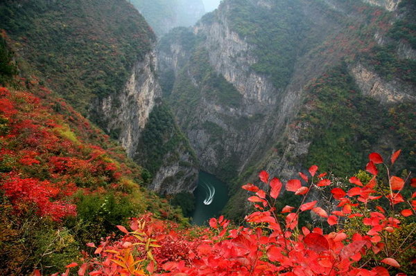 Red leaves in lesser three gorges