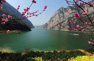 Spring in Three Gorges