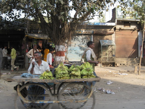 Man Selling Bananas on Street Cart