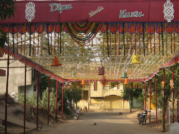 Decorated Canopy in front of Bride