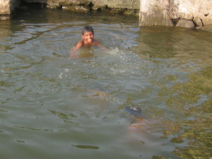 Two kids swimming in backwater