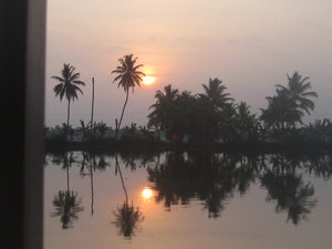 Sun rising over backwater and through palm trees with relection in the water