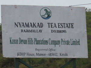 The largest cooperatiely owned tea plantation in India