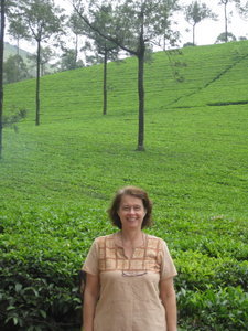 Margaret at edge of tea plantaion