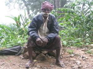 Man with turban sitting on tea plantation