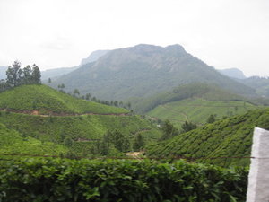 Look out Station near Munnar