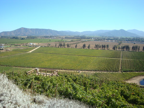 view from winery
