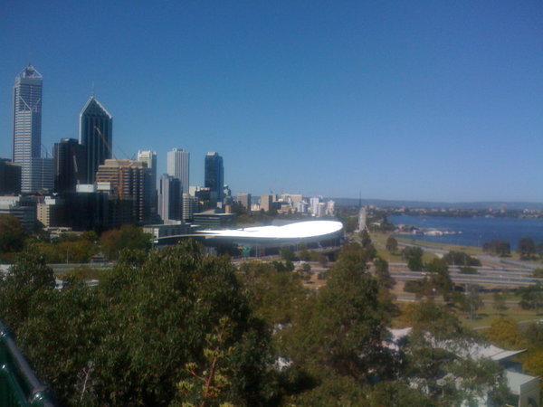 View from Kings Park to Perth City