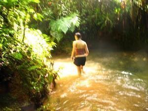 rainforest trek