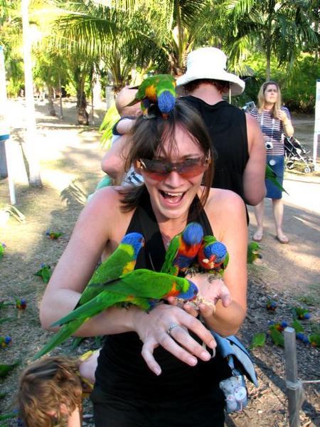 Amy being attacked by birds!