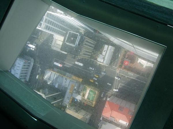 The Glass Floor in the tower x