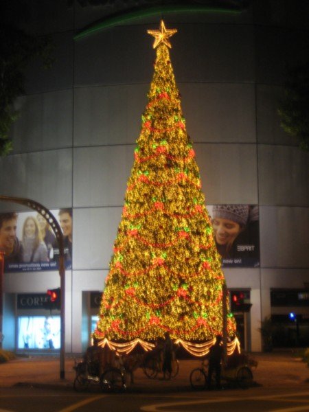 Yeah Christmas Tree! x