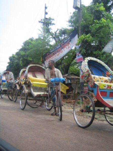 Rickshaws x