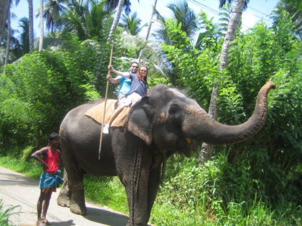 Elephant Ride! 