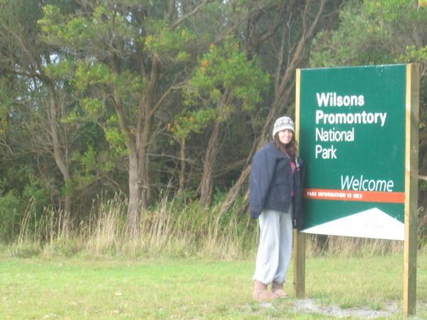 Wilson- Your Very Own National Park!