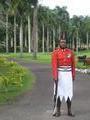 Suva- the government house x