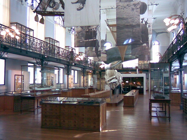 Muzeum morskie 6