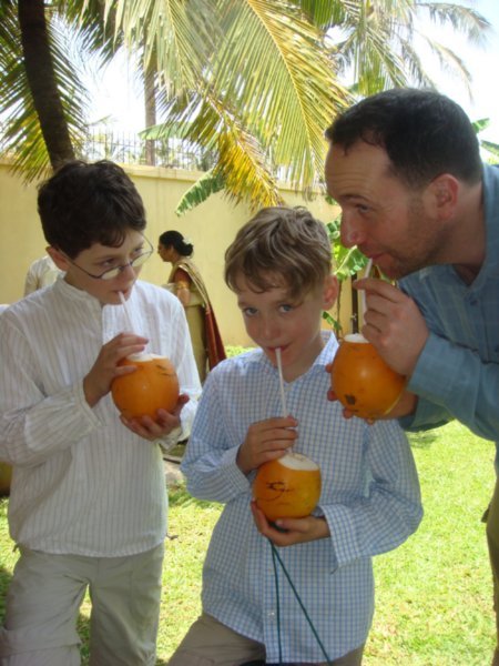 Our First Coconuts
