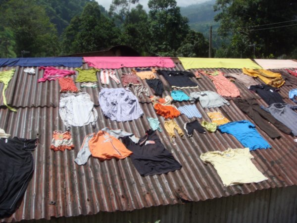 Clothes drying on the Tamil tea workers roof