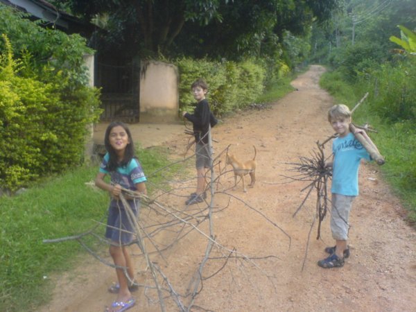 Children collecting sticks