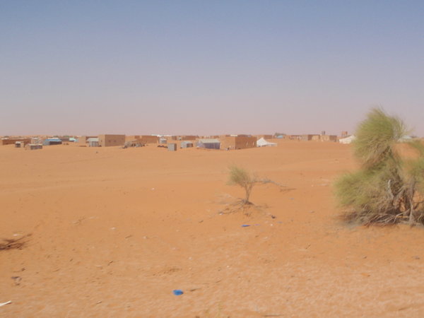 Mauritanian Desert