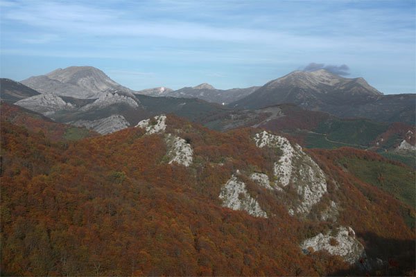 Regional park of Picos de Europa