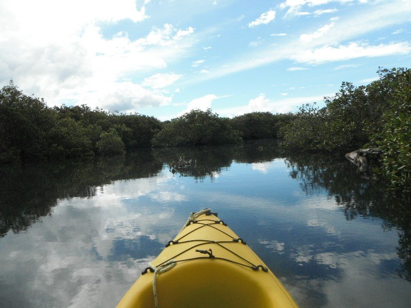 Kayaking at High Tide in the Estuary