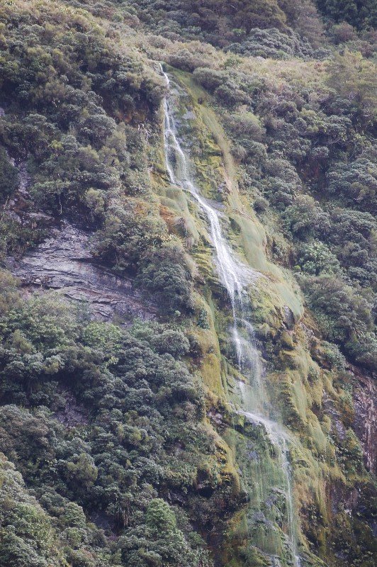 Water fall in Doubtful Sound