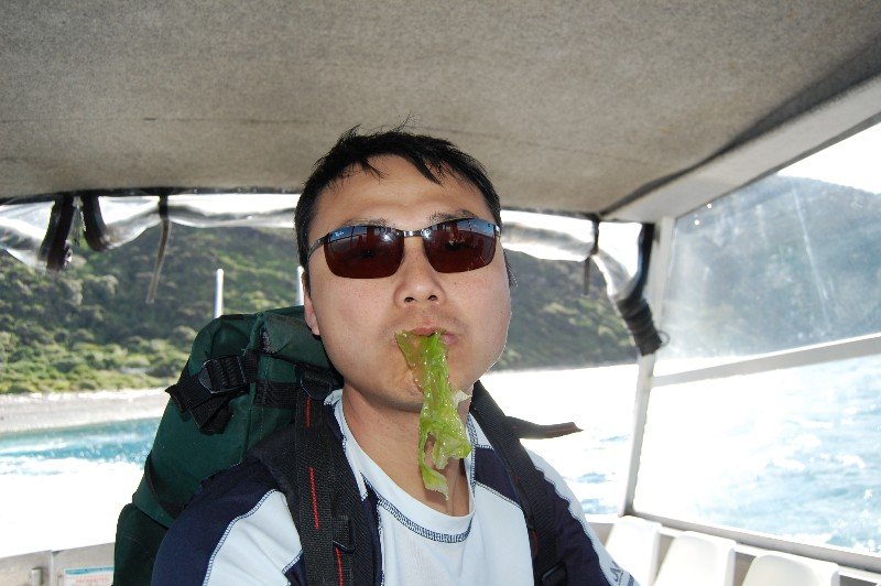 Dad sampling sea lettuce