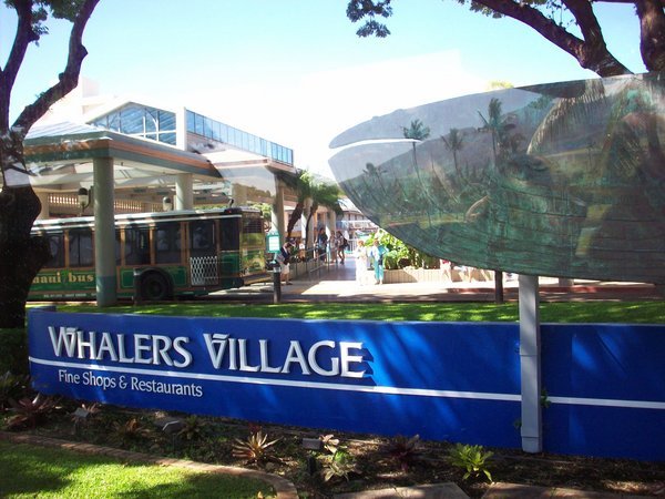 Whalers Village