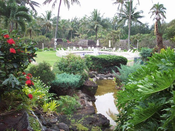 Hotel pool and garden