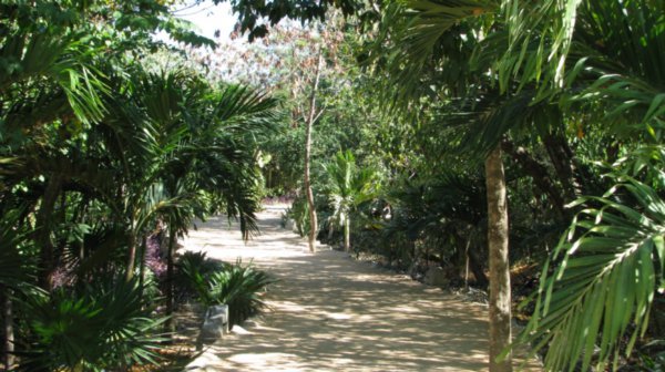 Pathway in Tulum Ruins
