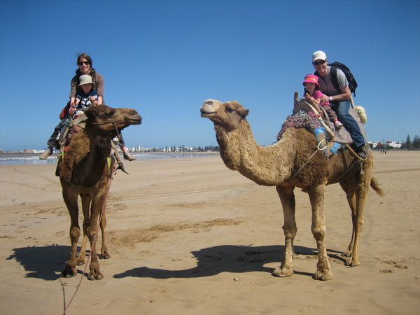 us and the camels