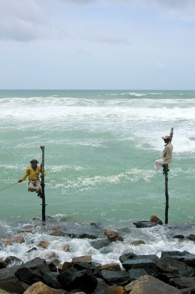 Stilt fishermen