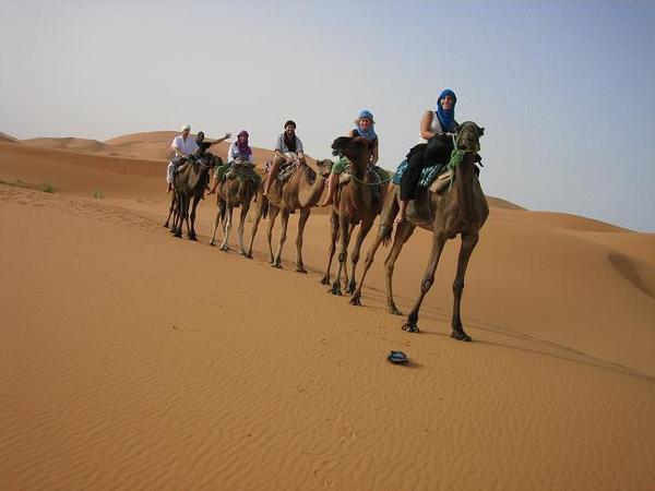 Our Camel Caravan