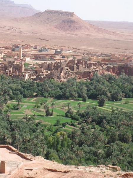 Palmerie, Kasbah, and Mountain 
