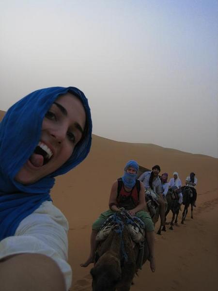 on the camels